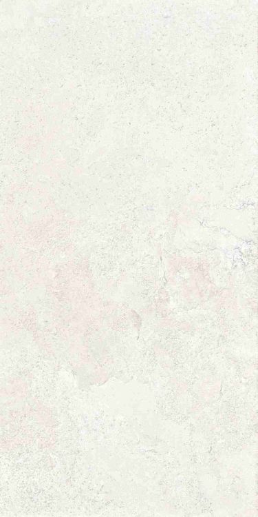 Petra Viva Bone Matte 12 x 24